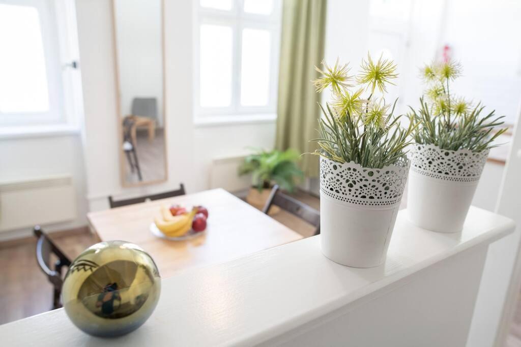 Apartman N28 Next To Andrassy Boulevard. *